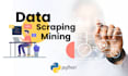 do data mining and data or web scraping by python