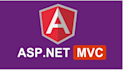 develop web applications using angular and dot net core