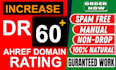increase domain rating DR 60 plus high quality backlinks