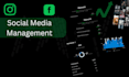 manage your social media editing, community management, postings
