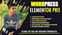 be your elementor expert with official wordpress website