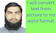 convert text from pictures to ms word format