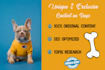 write professional pet articles