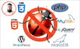fix your wordpress, php, html, jquery, css, reactjs, angularjs javascript bugs