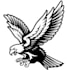 design a professional modern  eagle logo
