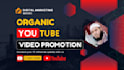 do super fast yt video organic promotion and manage,