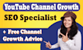 do your youtube video SEO and channel optimization