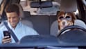 customize dog promo video ads