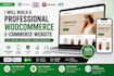 build a professional woocommerce website or online store
