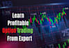 teach you how to use option trading for earning