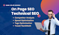 do onpage SEO and technical optimization to increase website traffic