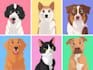 draw your lovely pet into disney cartoon portrait