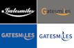 design professional and creative logo within 12 hours
