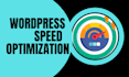 do wordpress speed optimization by  page speed and gtmetrix