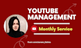 provide monthly youtube management service