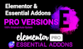 install elementor pro and essential addons pro plugin updatable