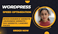 do wordpress speed optimization and reduce load time