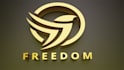 design your 3d metallic silver gold logo