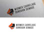 make a modern custom business logo design