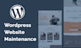 fix wordpress bugs, errors, and customize your website