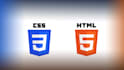 make or fix a custom website for you
