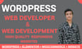 be your wordpress developer and do website development