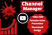 your youtube channel growth manager