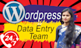 do wordpress data entry, product listing, content upload with team
