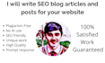 write SEO blog articles and posts for your website