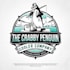 design a professional modern penguin logo