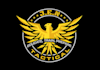 give a eye catchy security logo design