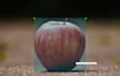do image labelling, image segmentation and image annotation