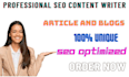 write high quality SEO articles, blog posts and site content