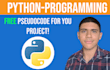 be your python developer