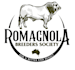 design a professional modern animal logo