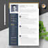 do professional and attractive resume or CV design