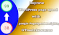 improve wordpress page speed, google pagespeed insights, gtmetrix scores