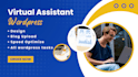 be your wordpress virtual assistant