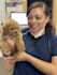 provide professional advice as a veterinary technician