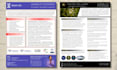 create your business capability statement, ebook, flyer, bifold trifold brochure