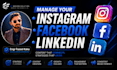 manage your instagram facebook and linkedin as your social media manager