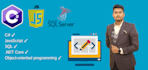 do your any  c sharp, javascript and sql tasks