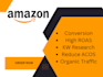 set up and optimize amazon PPC campaign
