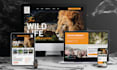do figma, xd landing page design