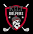 do make an modern custom polo logo