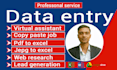 do data entry,copy paste,web research job