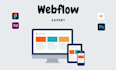 develop a professional webflow website
