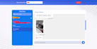 deveolp new websites and fix any errors quickly