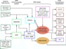 install, compile, configure and run wrf model