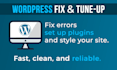 help you fix wordpress errors, configure plugins, and customize themes